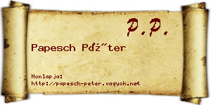 Papesch Péter névjegykártya